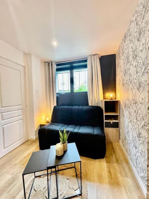 Le Studio Du Port Chateauneuf-sur-Loire Ngoại thất bức ảnh